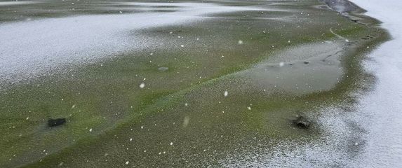 Zeleni led u Češkoj