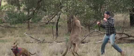 Obračun sa životinjama