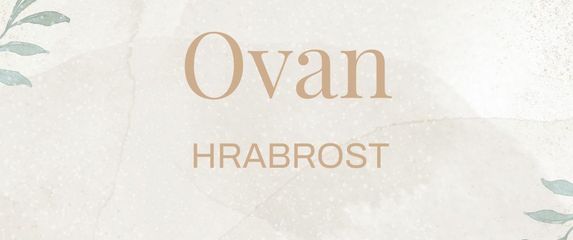 Rečenice koje će obilježiti svaki znak u 2026.