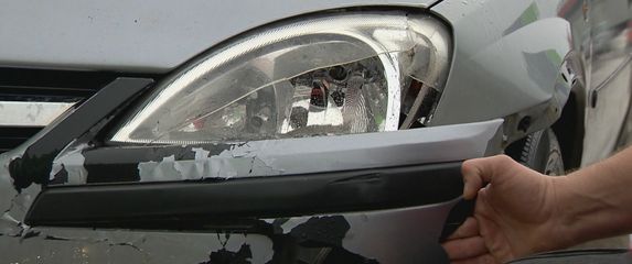 Divljač na cesti - 3