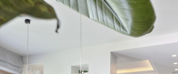 Genijalan stan u kojem su visilice možda čak i glavna zvijezda - 1