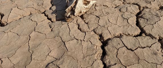 Ekstremna vrućina, ilustracija