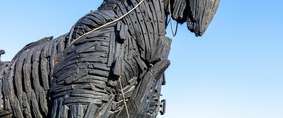 Kviz općeg znanja - 6