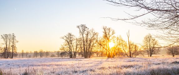 Hladno zimsko jutro, ilustracija