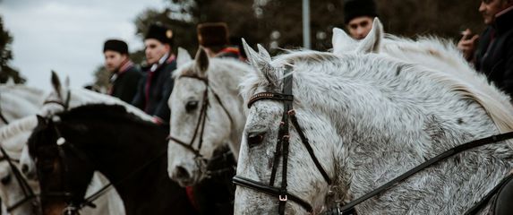 Poklade u Vinkovcima