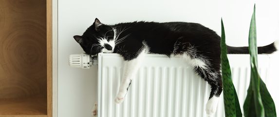 Mačka leži na radijatoru