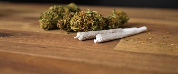 Marihuana, ilustracija