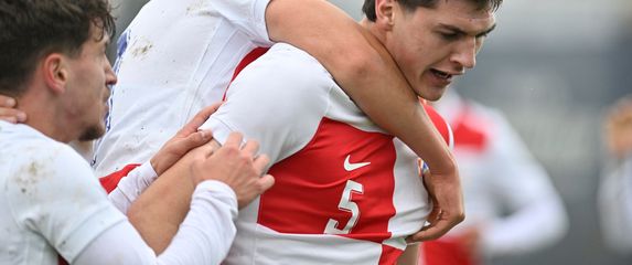 Ljubo Puljić, gol protiv Srbije