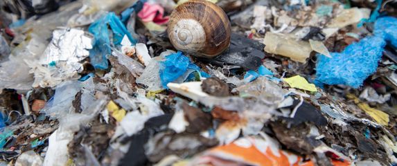 Plastika, ilustracija