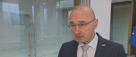 Gordan Grlić-Radman