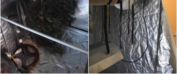 Policija otkrila dva laboratorija za proizvodnju droga