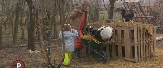 Provjereno: Obitelj Hrast - 1