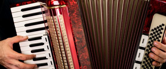 Harmonika, ilustracija