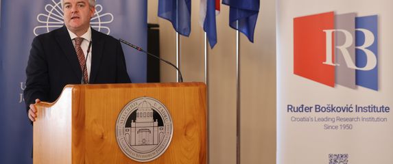 David Smith, ravnatelj IRB-a