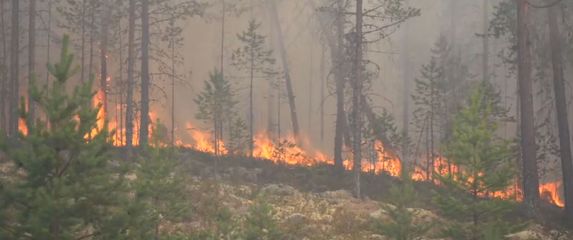Požari u Švedskoj (Foto: Dnevnik.hr)
