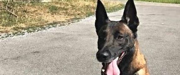 Foto: Švicarska policija