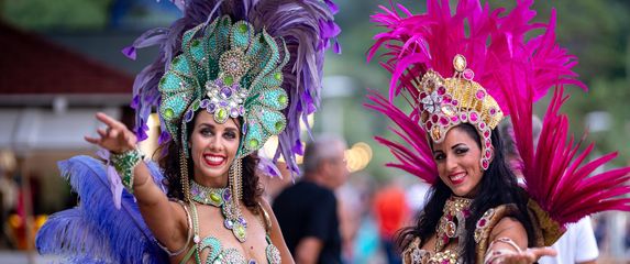 Samba (Foto: Petar Lupić)