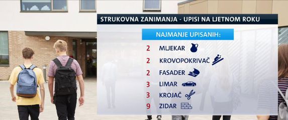 Strukovna zanimanja, upisi učenika na ljetnom roku (Foto: Dnevnik.hr)
