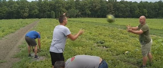 Novi oblik prodaje lubenica - 7