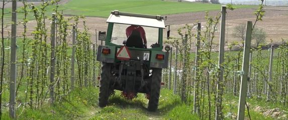 Informer: Proizvodimo premalo hrane - 1