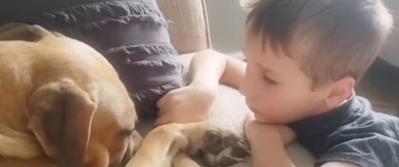 Dječak i pas