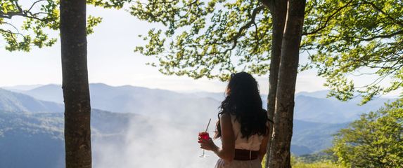 Festival malina u Skradu - 2