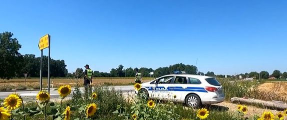 Pojava afričke svinjske kuge - 2