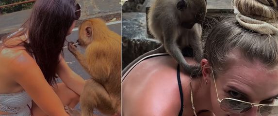 Majmuni i turisti