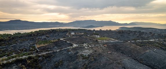 Aftermath požara na otoku Čiovu - 9