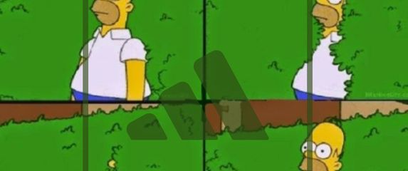 Homer Simpson ulazi u grmlje i adidas logo