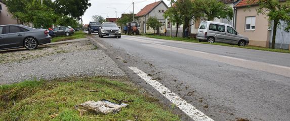 Ozlijeđene rode u Bošnjacima
