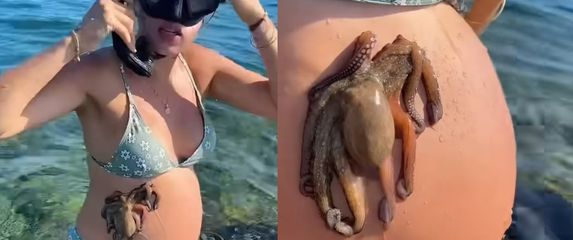 Trudnica i hobotnica