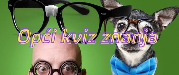 Čovjek i pas s debelim naočalama i štreberske naočale