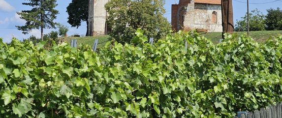 Long Village Fitness Walk - 1