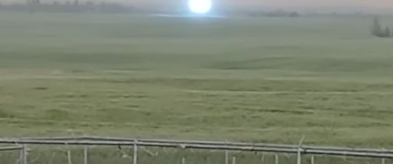 Kuglasta munja snimljena u Kanadi