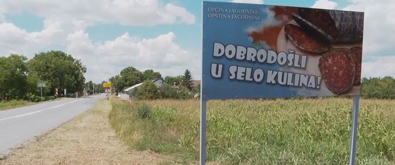 Afrička svinjska kuga u Baranji - 5