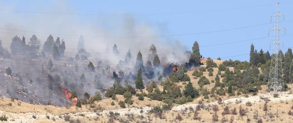 Požar kod Mostara - 3