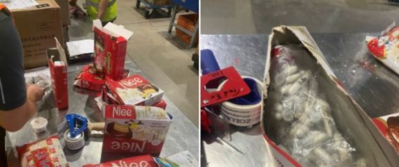 Krijumčarene tarantule