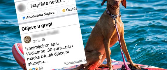 Oglas za iznajmljivanje apartmana u Vodicama