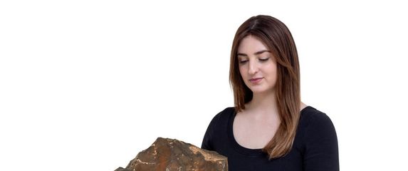 Meteorit NWA-16788 s Marsa prodan za rekordnu cifru na aukciji