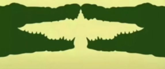 Vizualni test