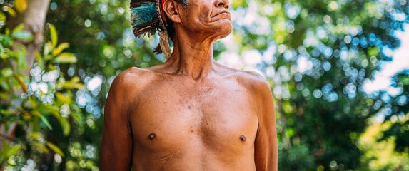 Amazona - 1