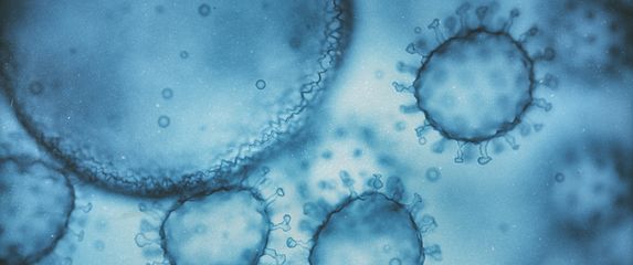 Virusi napadaju stanicu, ilustracija