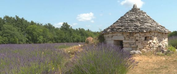 In Magazin: Alternative plažama - 6