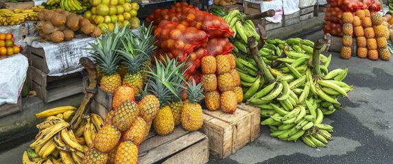 Egzotično voće, ilustracija