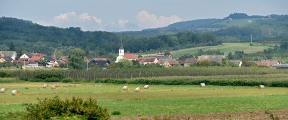 Slavonija, ilustracija