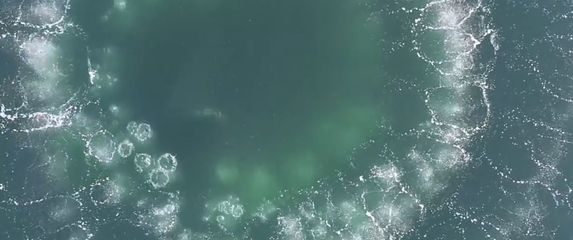 Metoda lova kitova u oceanu