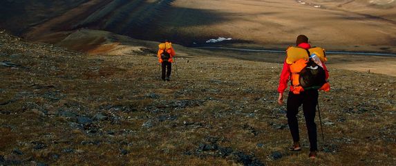 Istraživanje divljine