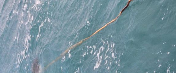 Štap u moru s kornjačom