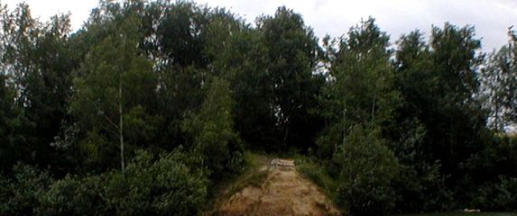 Ilustracija